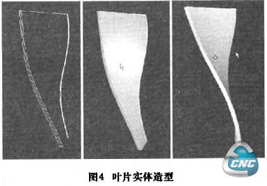 叶片实体结构