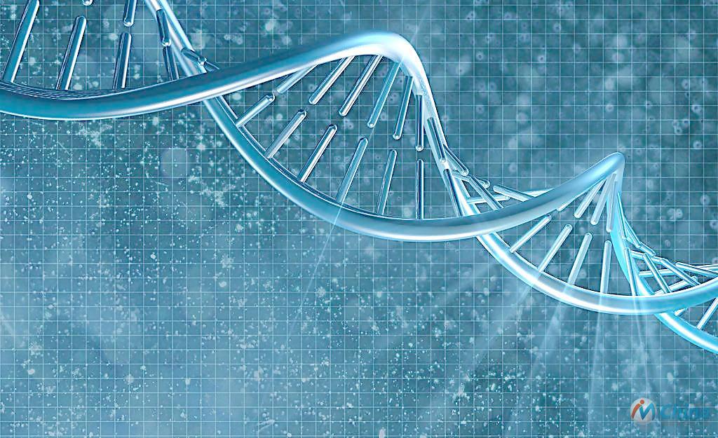 　DNA“折纸术”或有助研发更快更廉芯片