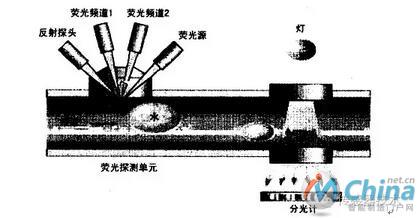 流体分析仪构造