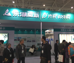 东湖高新